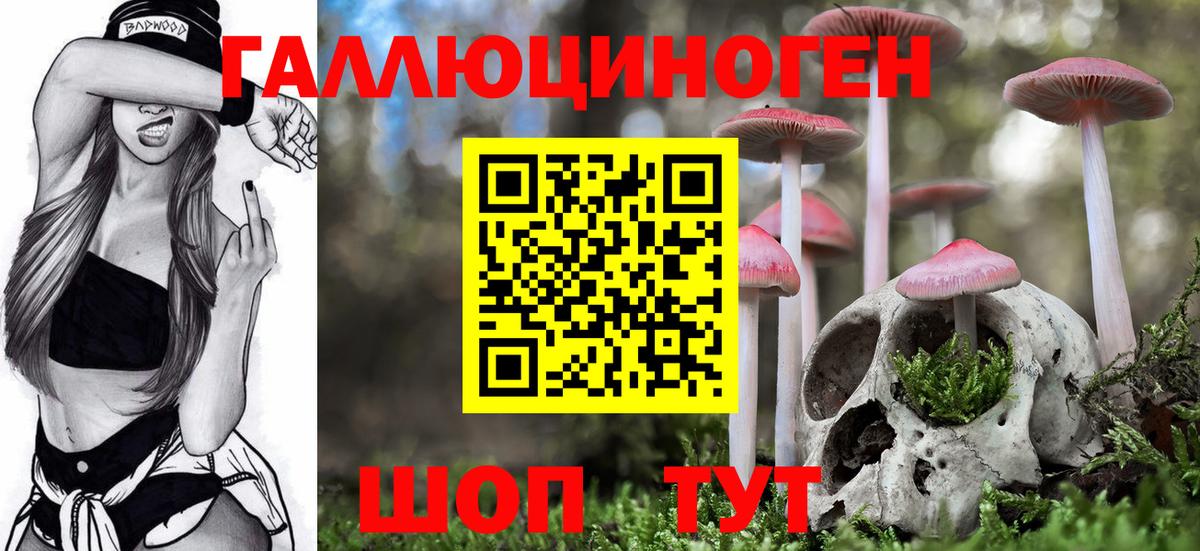 Галлюциногенные грибы мицелий  Вход с VPN  Донецк 